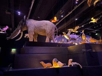Leiden, Netherlands - June 18, 2022: Exhibition with different stuffed animals in Naturalis Biodiversity Center