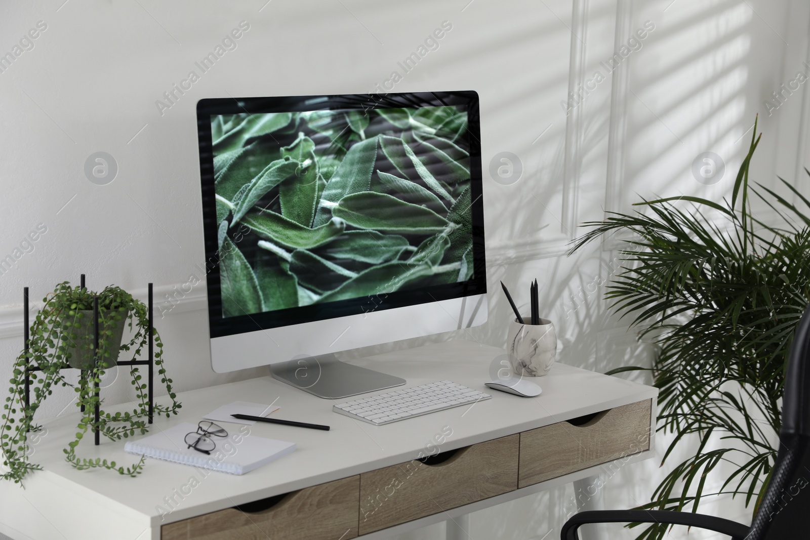 Photo of Comfortable workplace with modern computer and green plants in room. Interior design