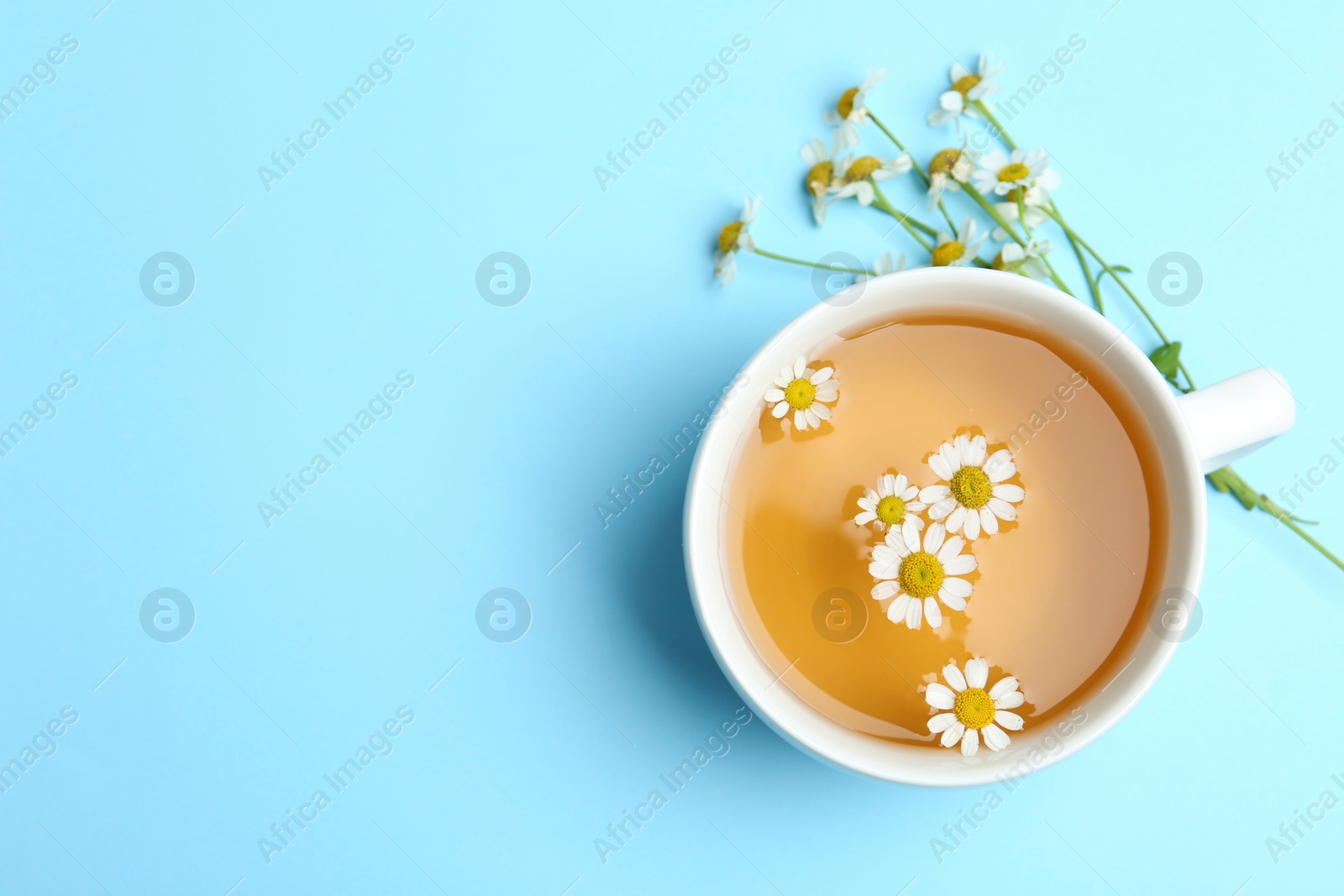 Photo of Cup of tea and chamomile flowers on light blue background, flat lay. Space for text