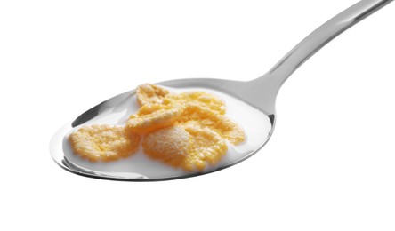 Photo of Spoon of delicious crispy corn flakes with milk on white background