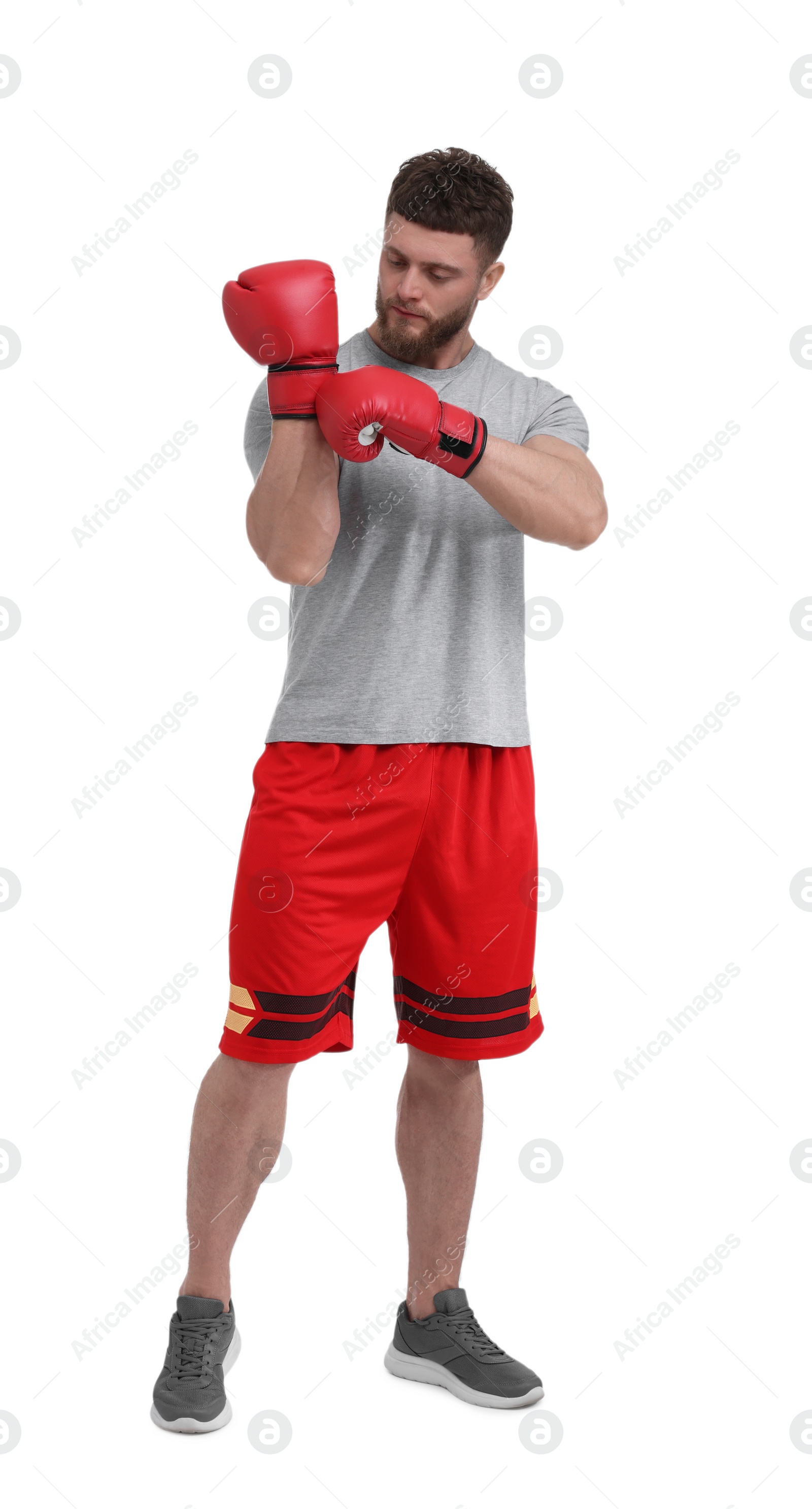 Photo of Man putting on boxing gloves against white background