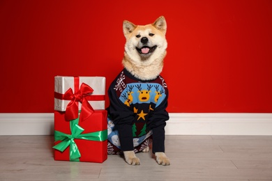 Photo of Cute Akita Inu dog in Christmas sweater near gift boxes indoors