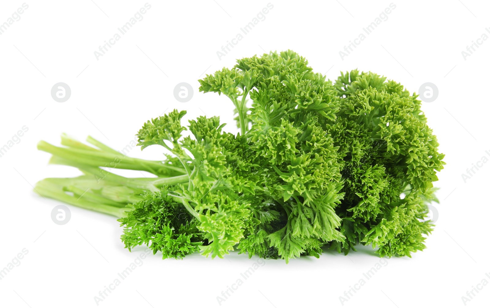 Photo of Fresh green organic parsley on white background