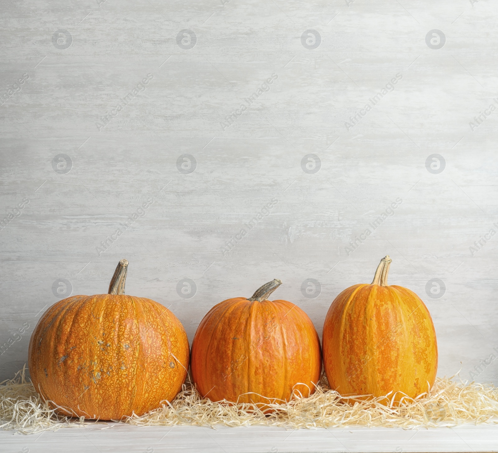 Photo of Orange pumpkins on table against light background. Autumn holidays