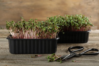 Photo of Fresh radish microgreens in plastic containers and scissors on wooden table