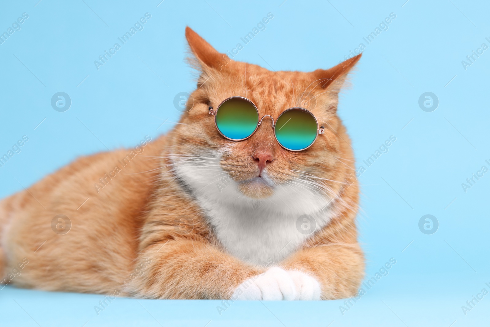 Photo of Cute ginger cat in stylish sunglasses lying on light blue background