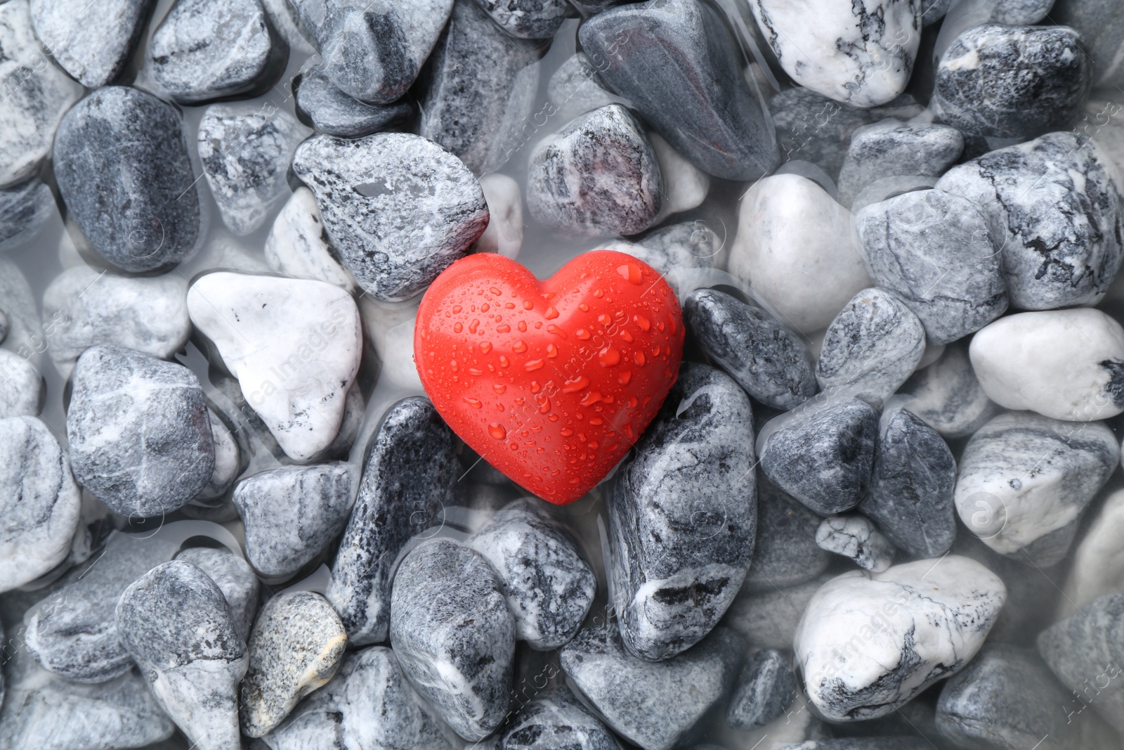 Photo of Red decorative heart on stones and water, top view