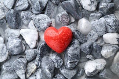 Photo of Red decorative heart on stones and water, top view