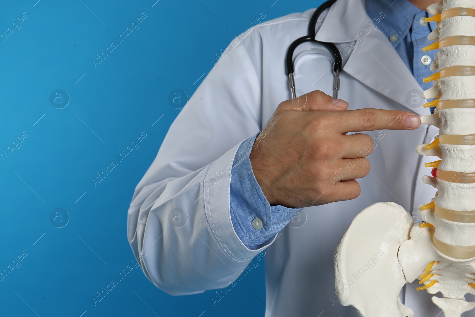 Photo of Male orthopedist with human spine model against blue background, closeup