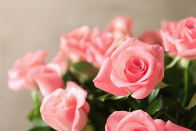 Bouquet of beautiful roses on blurred background