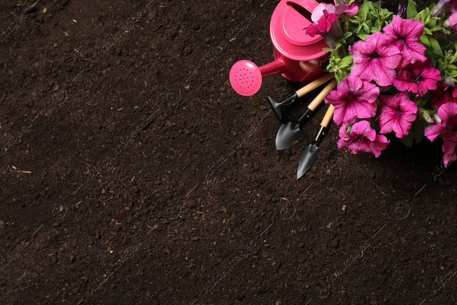 Photo of Flat lay composition with gardening tools and flower on soil, space for text
