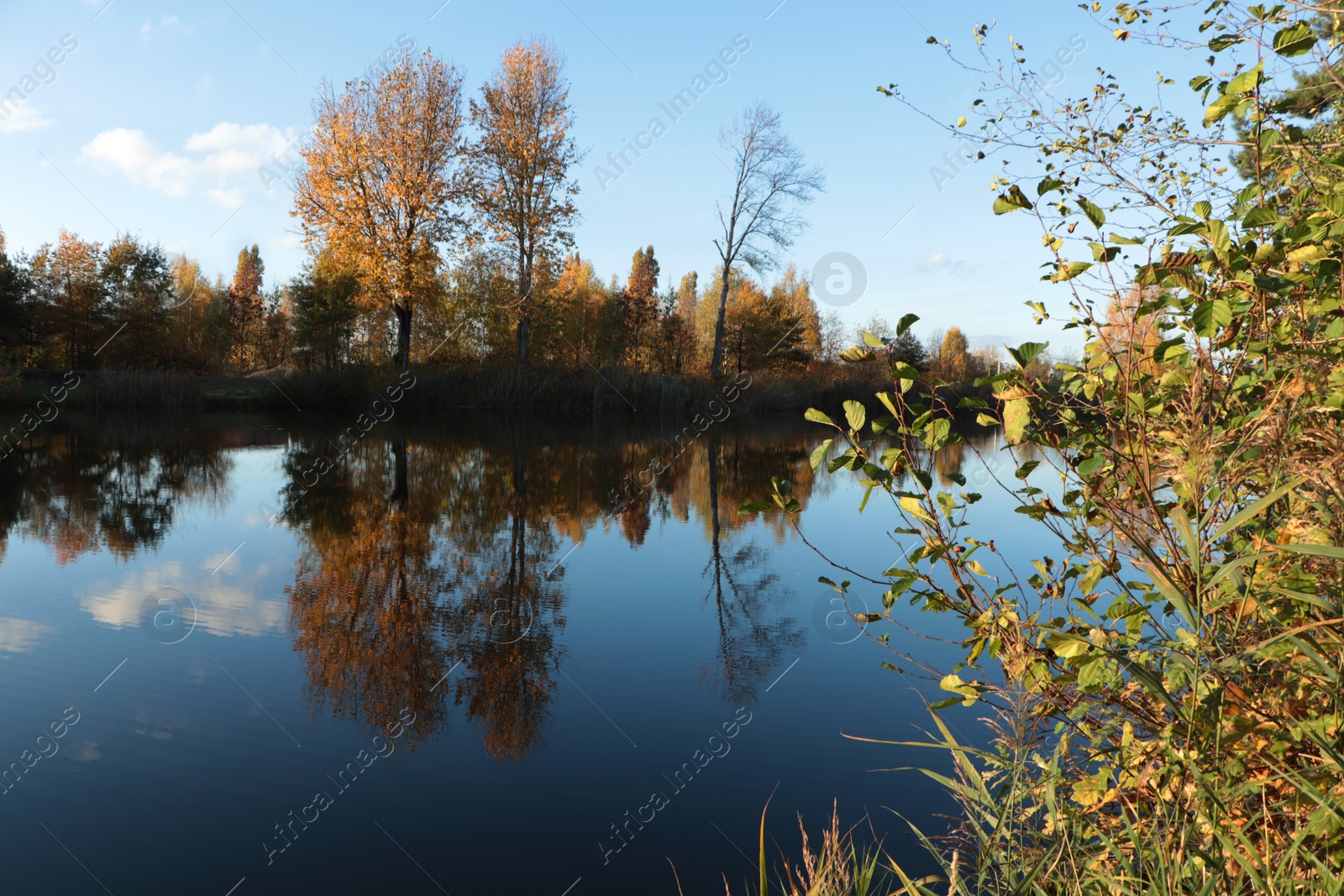 Photo of Picturesque view of lake and trees on autumn day