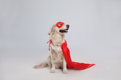 Photo of Adorable dog in red superhero cape and mask on light grey background