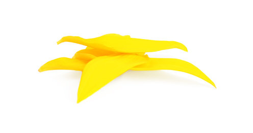 Photo of Fresh yellow sunflower petals isolated on white