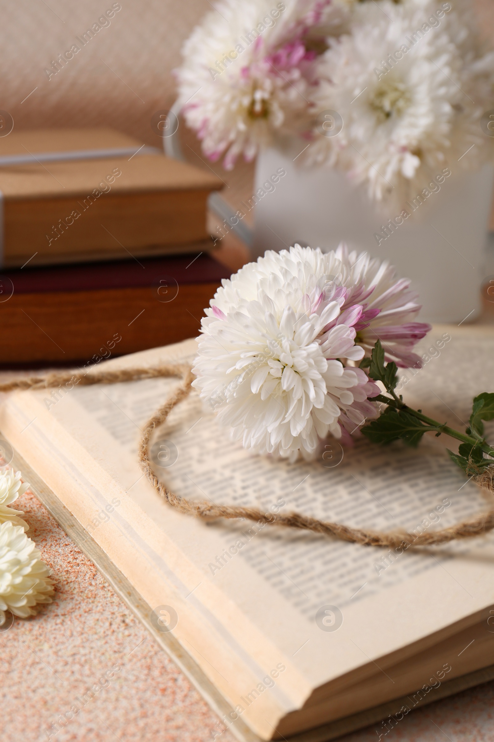 Photo of Book with chrysanthemum flowers as bookmark on beige textured table, closeup