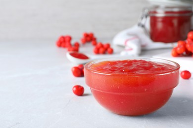 Delicious rowan jam in bowl on light table. Space for text