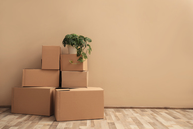 Photo of Pile of cardboard boxes and houseplant near beige wall, space for text. Moving day