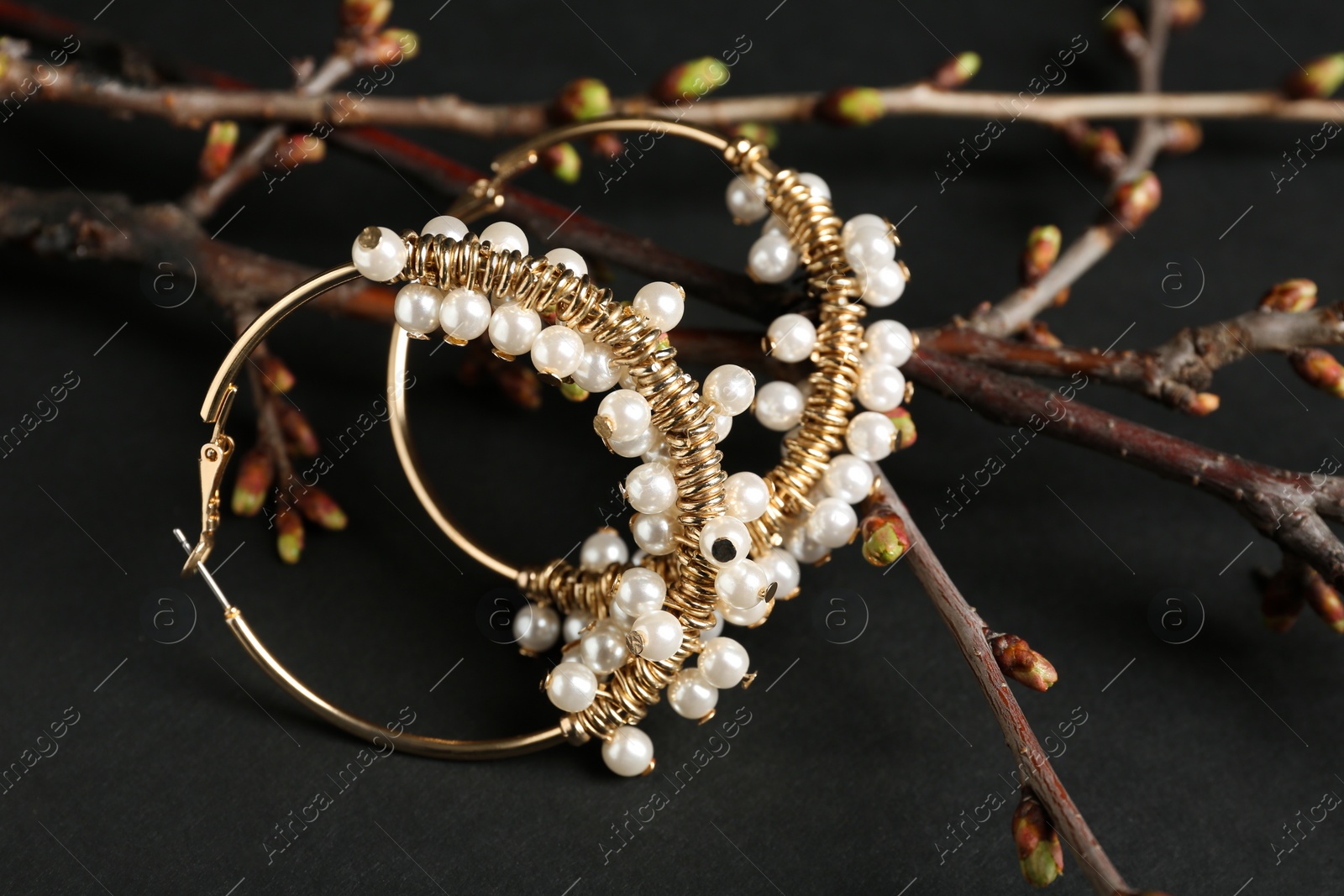 Photo of Branches with beautiful earrings on black background. Luxury jewelry