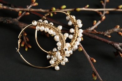 Photo of Branches with beautiful earrings on black background. Luxury jewelry