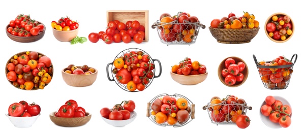 Image of Set of different ripe tomatoes on white background. Banner design 