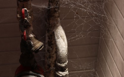 Photo of Cobweb near wall and rusty pipes of water supply indoors