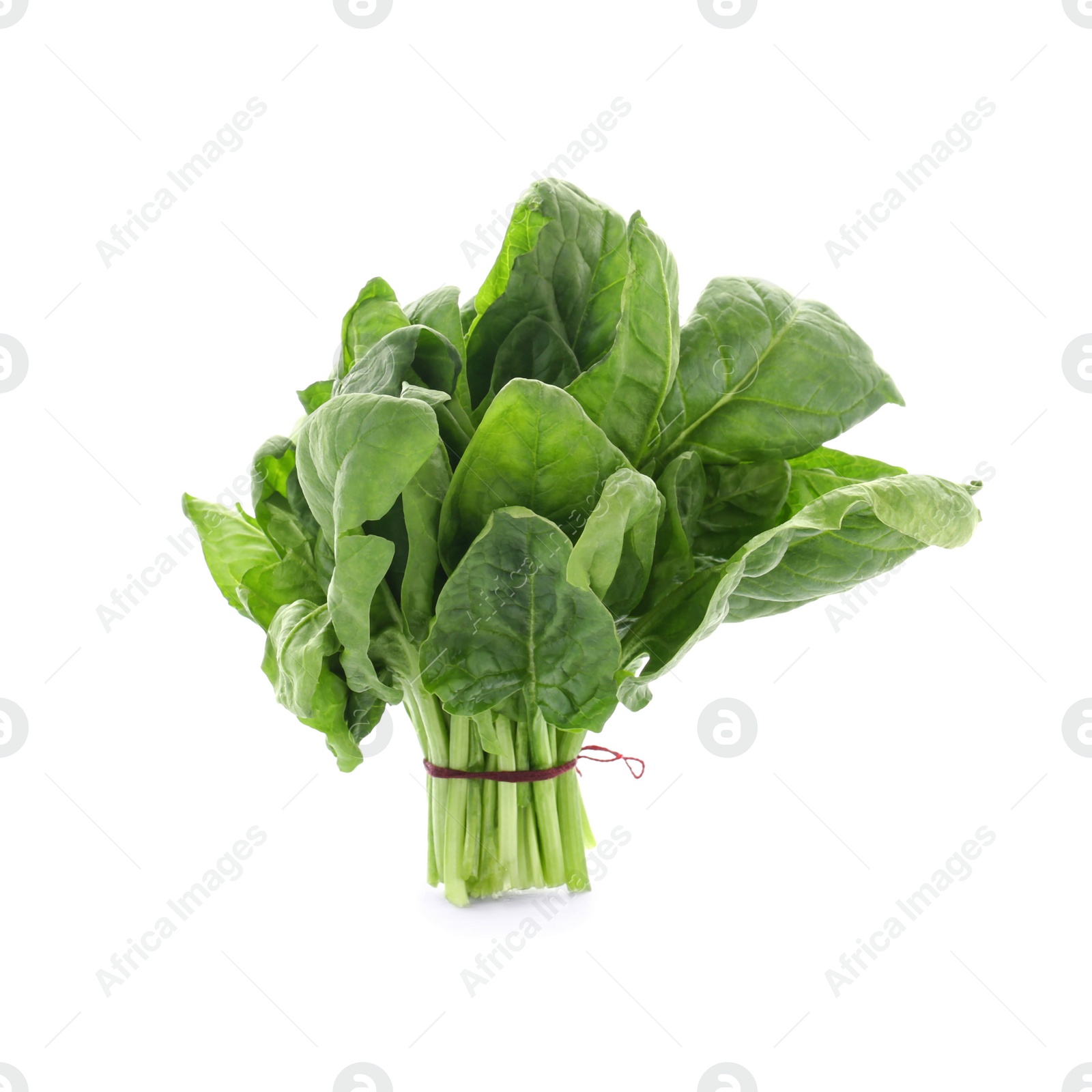 Photo of Bundle of fresh spinach isolated on white