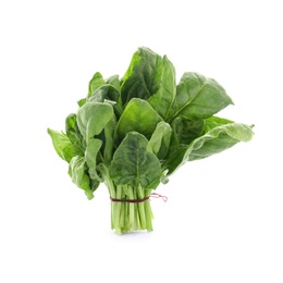 Bundle of fresh spinach isolated on white