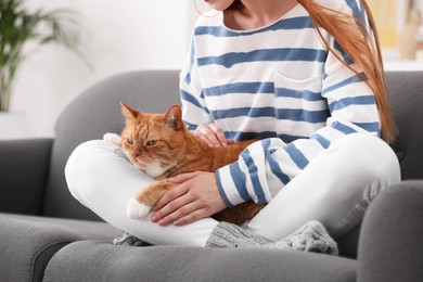 Photo of Woman with her cute cat on sofa at home, closeup