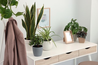 Photo of Different beautiful house plants on white table indoors