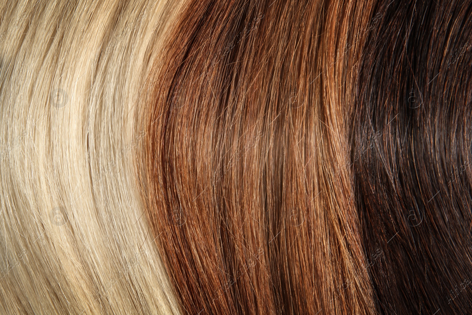 Photo of Strands of different color hair as background, closeup