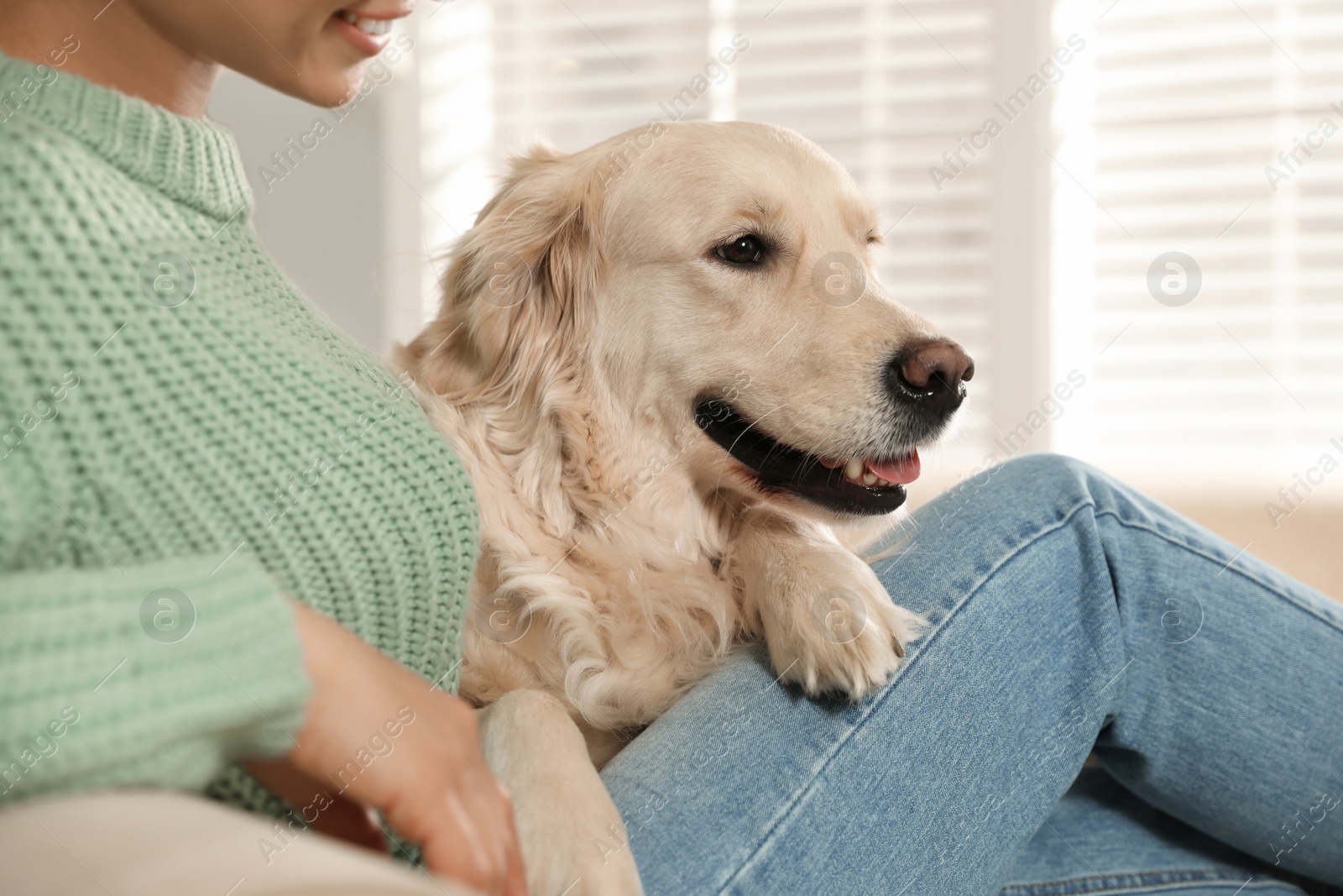 Photo of Young woman and her Golden Retriever at home, closeup. Adorable pet