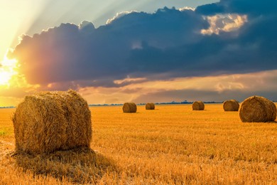 Image of Hay bales in golden field under beautiful sky at sunset