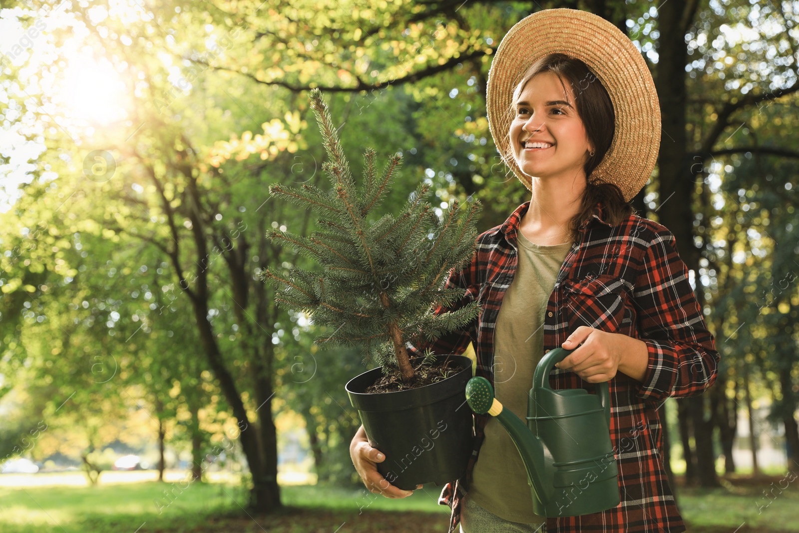 Photo of Young woman holding pot with conifer tree and watering can in park on sunny day