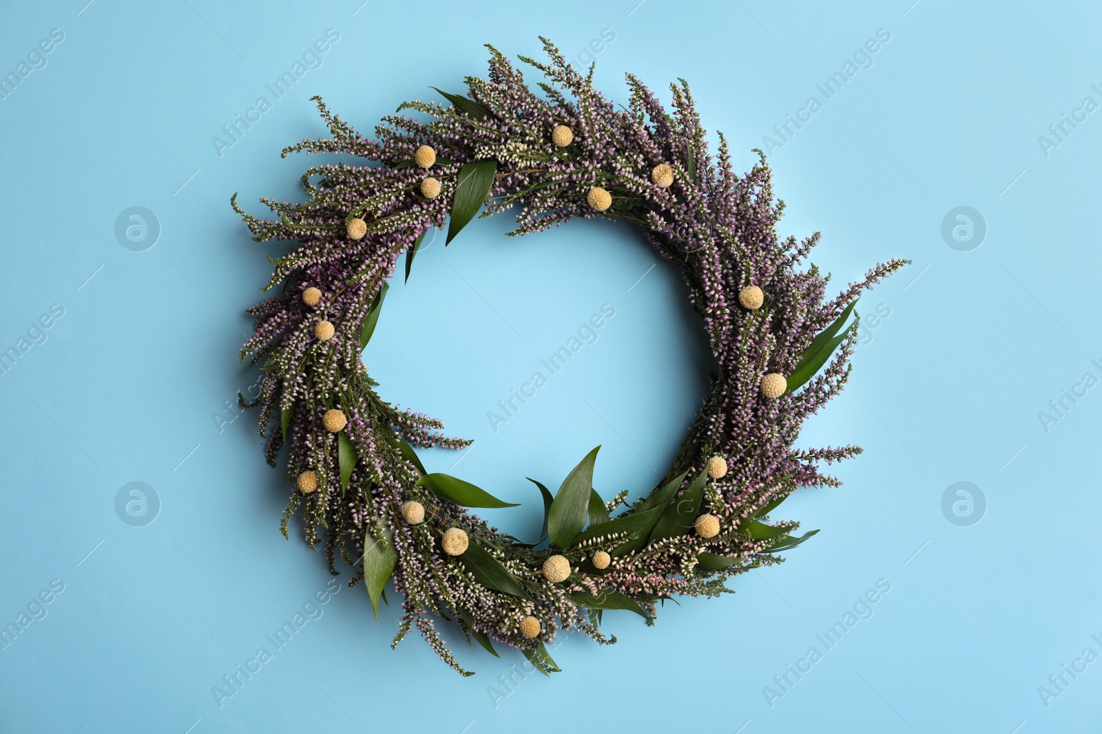 Photo of Beautiful heather wreath on light blue background, top view. Autumnal flowers