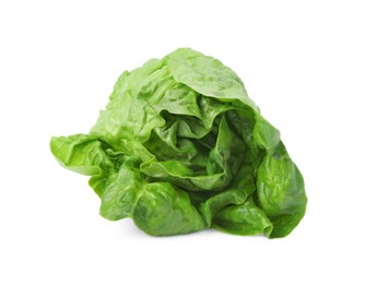 Photo of Fresh green romaine lettuce isolated on white