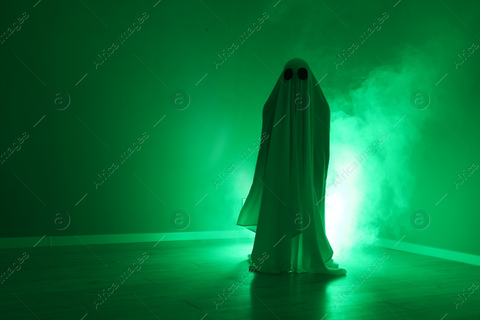 Photo of Creepy ghost. Woman covered with sheet in green light, space for text