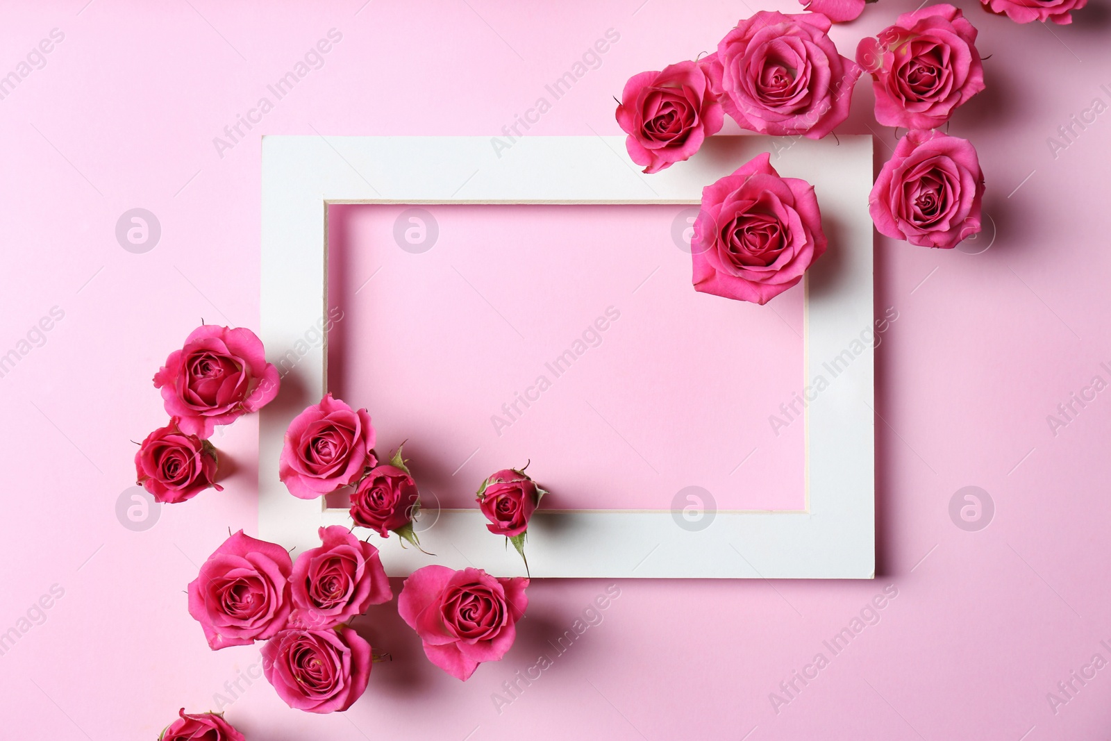 Photo of Empty frame with roses on color background, top view. Space for text