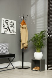 Stylish room interior with exotic house plant