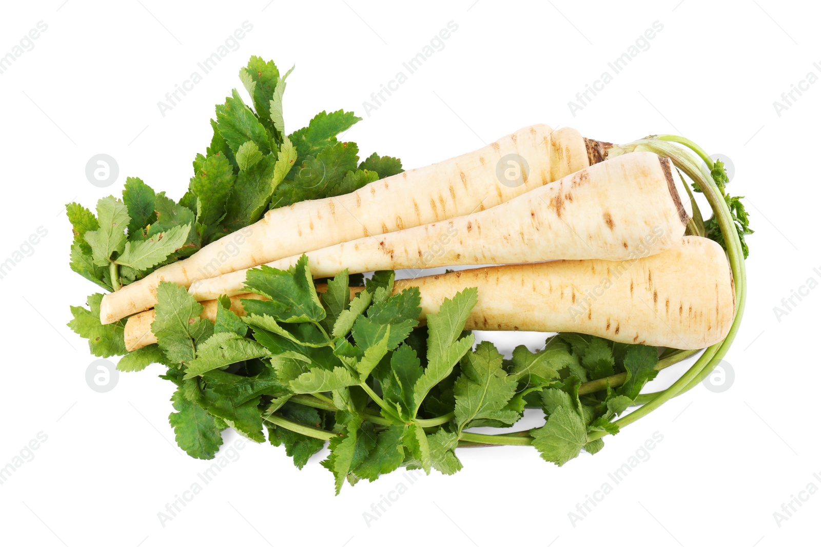 Photo of Tasty fresh ripe parsnips on white background, top view