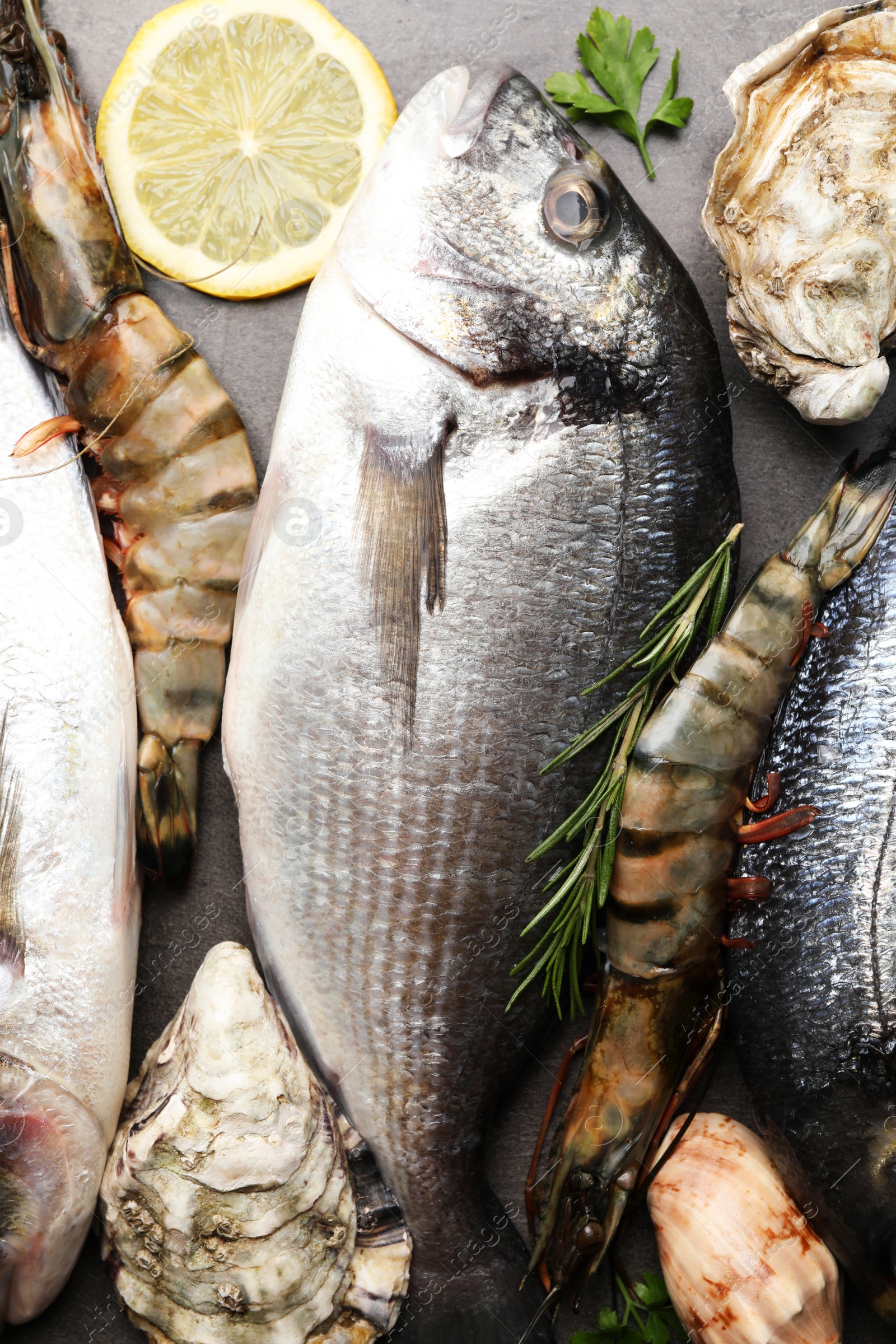 Photo of Fresh raw dorado fish and different seafood, lemon on grey table, flat lay