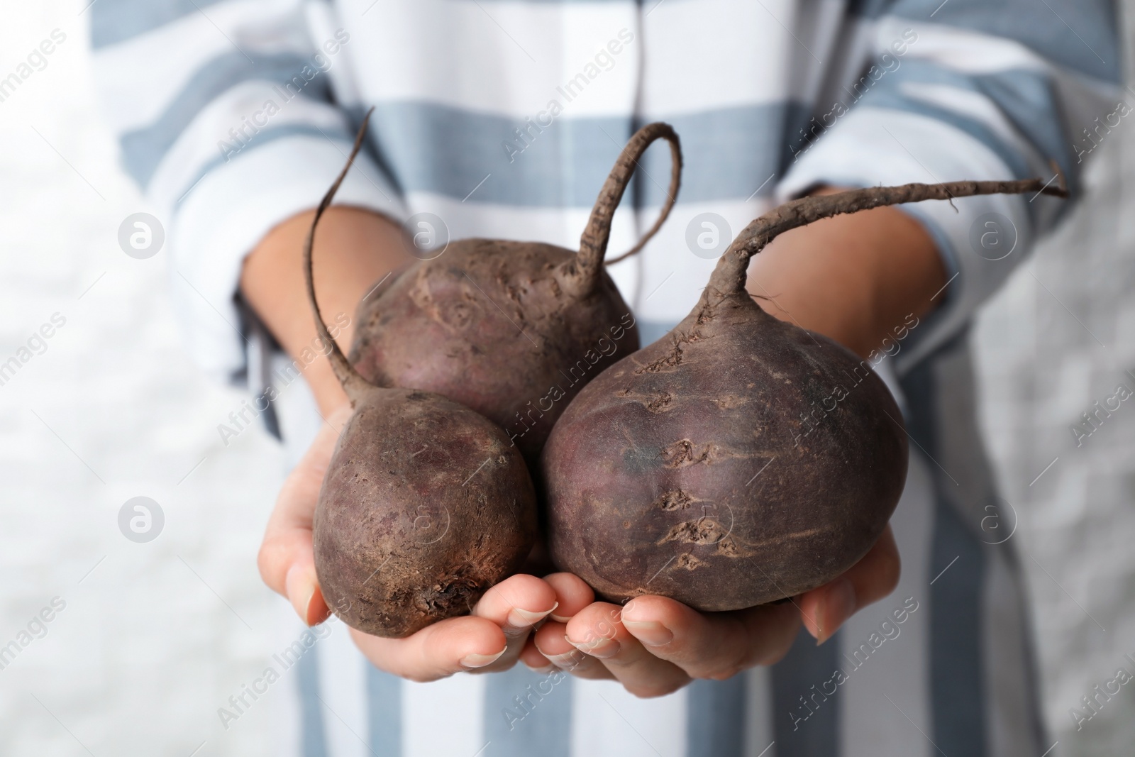 Photo of Woman holding ripe beets on light background