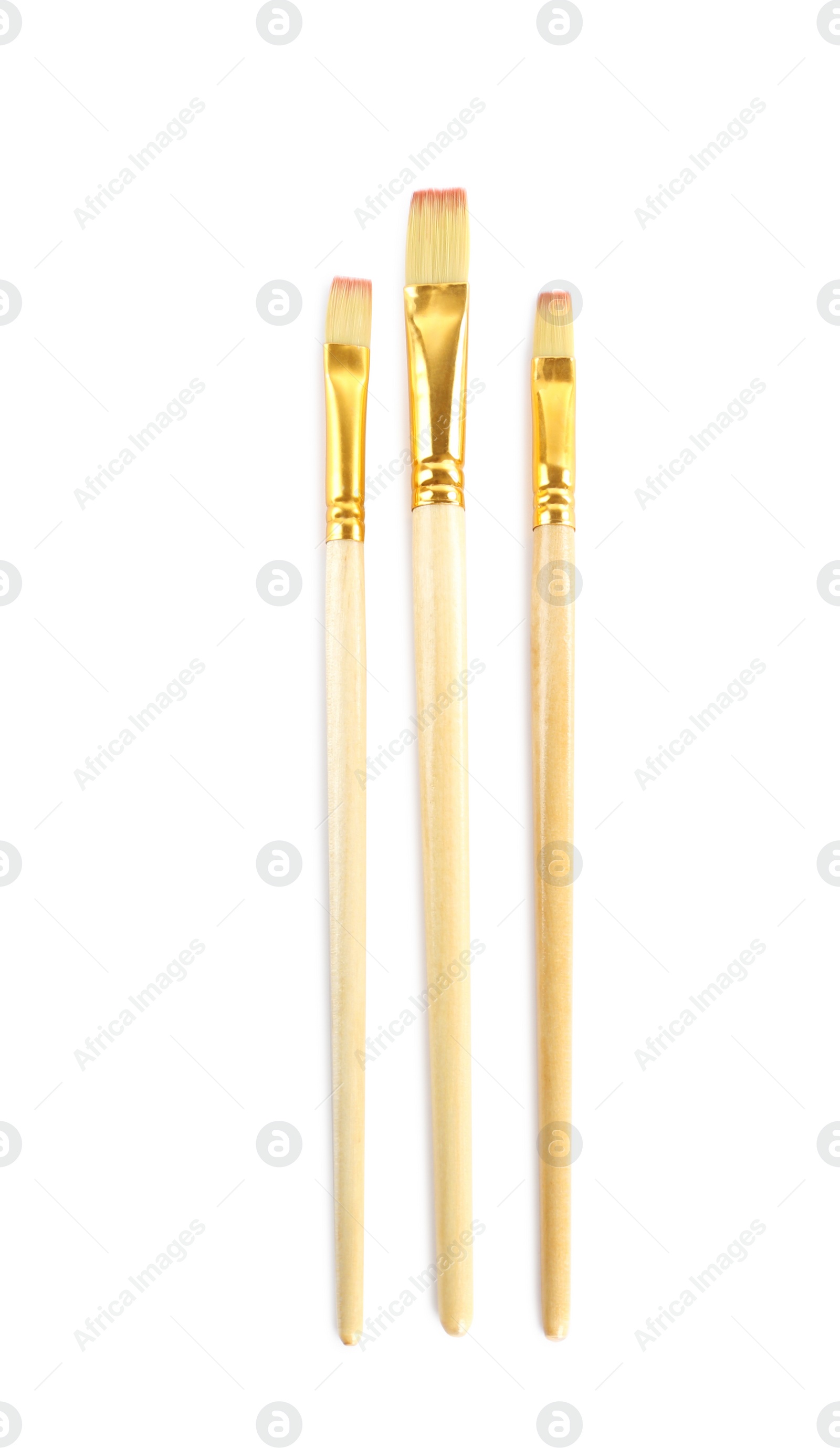 Photo of Set of paintbrushes on white background, top view