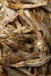 Photo of Many tasty dried anchovies as background, closeup