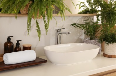 Counter with sink and many different houseplants near white marble wall