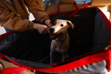 Photo of Woman fastening her cute Jack Russel Terrier dog with safety belt in bag carrier inside car. Pet accessory