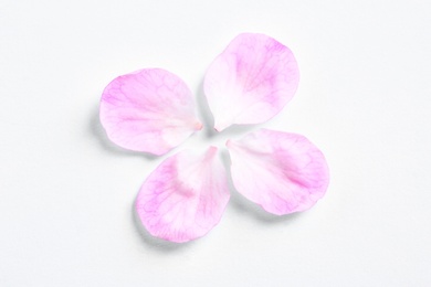 Photo of Petals of apricot tree blossom on white background