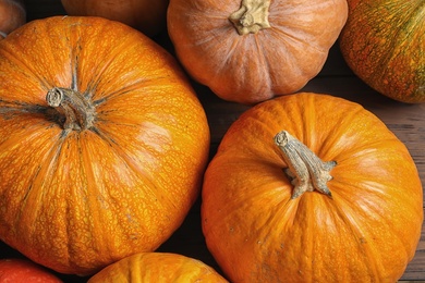 Many orange pumpkins as background, closeup. Autumn holidays