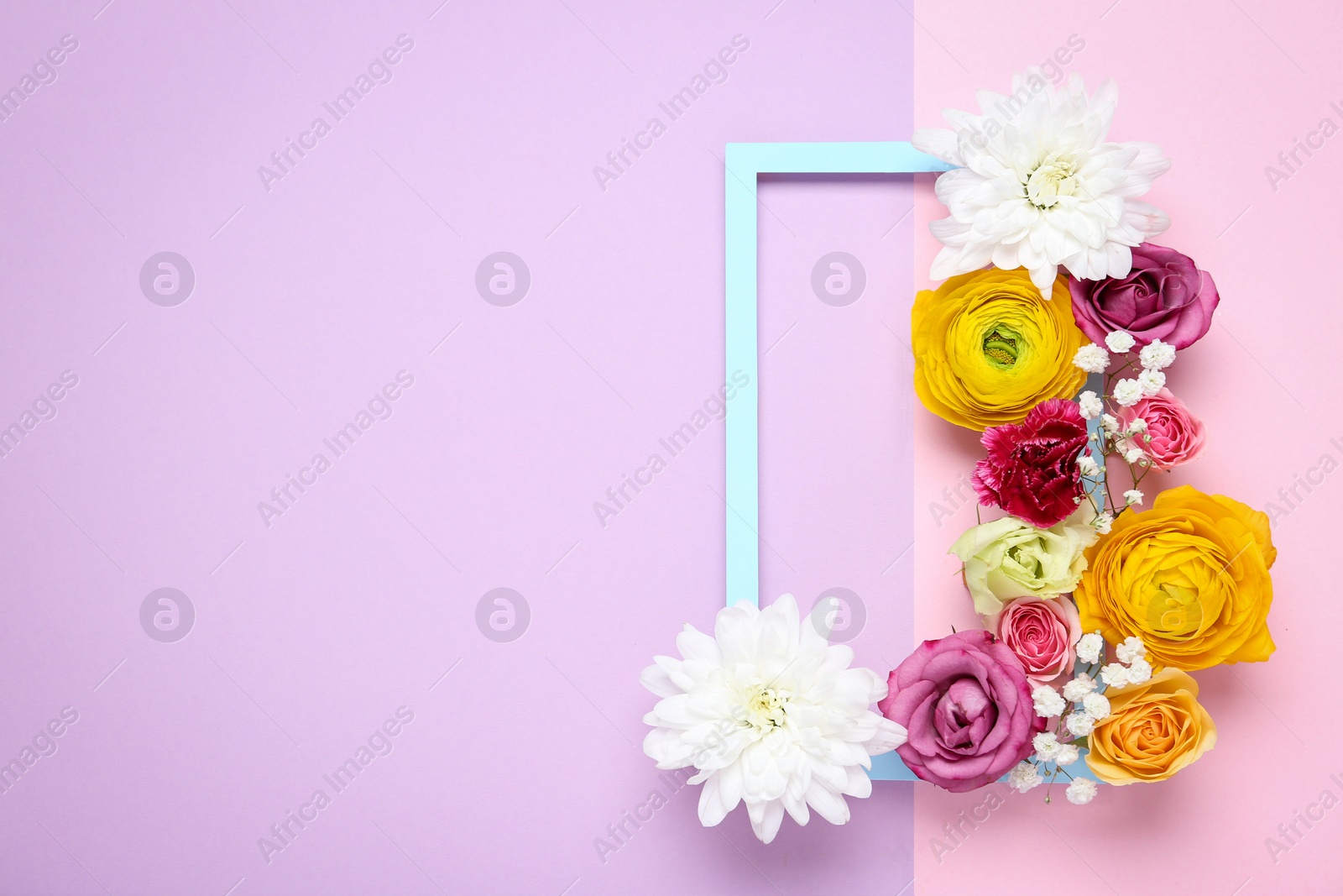 Photo of Floral composition with beautiful flowers on color background, flat lay. Space for text