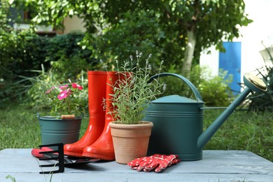 Photo of Beautiful flowers and gardening tools on grey wooden table at backyard