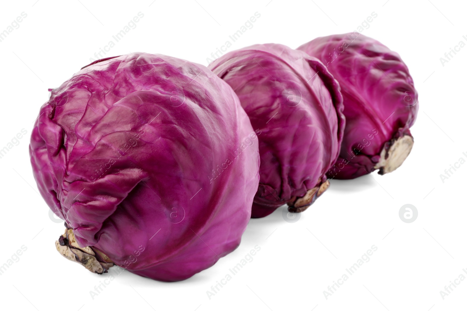 Photo of Fresh ripe red cabbages on white background
